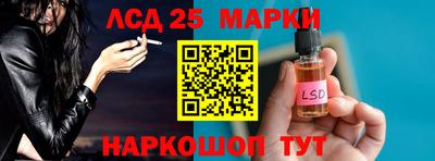 стафф Гай