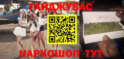 стафф Гай