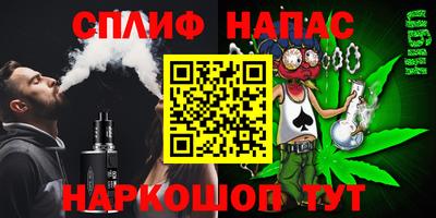 стафф Гай