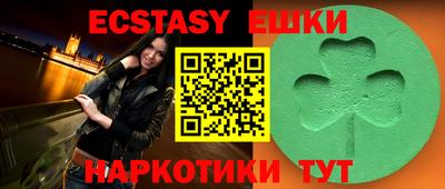 стафф Гай