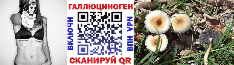 Псилоцибиновые грибы мицелий  Бор 