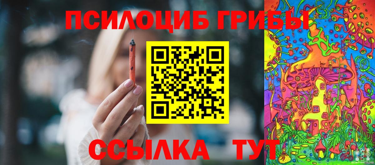 Псилоцибиновые грибы Psilocybine cubensis Бор