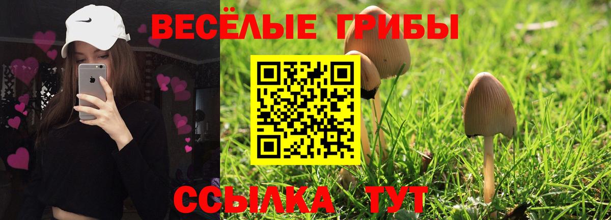 Галлюциногенные грибы мицелий  Бор  Галлюциногенные грибы MAGIC MUSHROOMS 