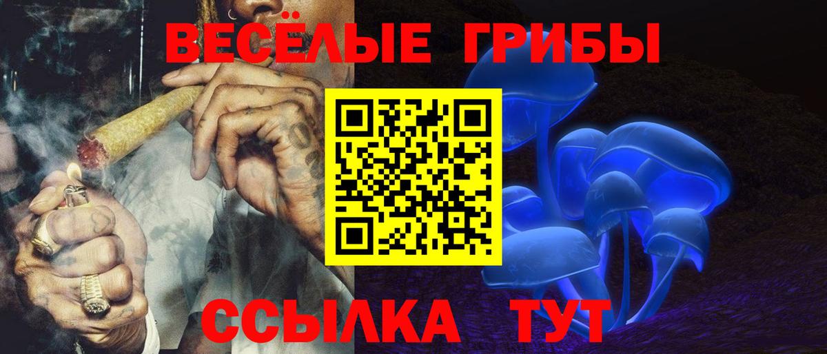 Псилоцибиновые грибы Psilocybe Бор
