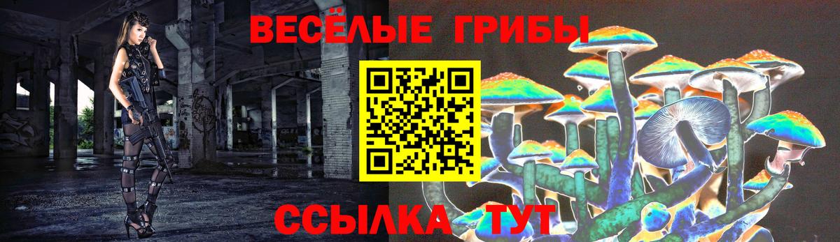 Галлюциногенные грибы GOLDEN TEACHER  Вход с VPN  Галлюциногенные грибы Psilocybine cubensis  Бор 